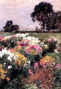 Virágkiállítás, 1903